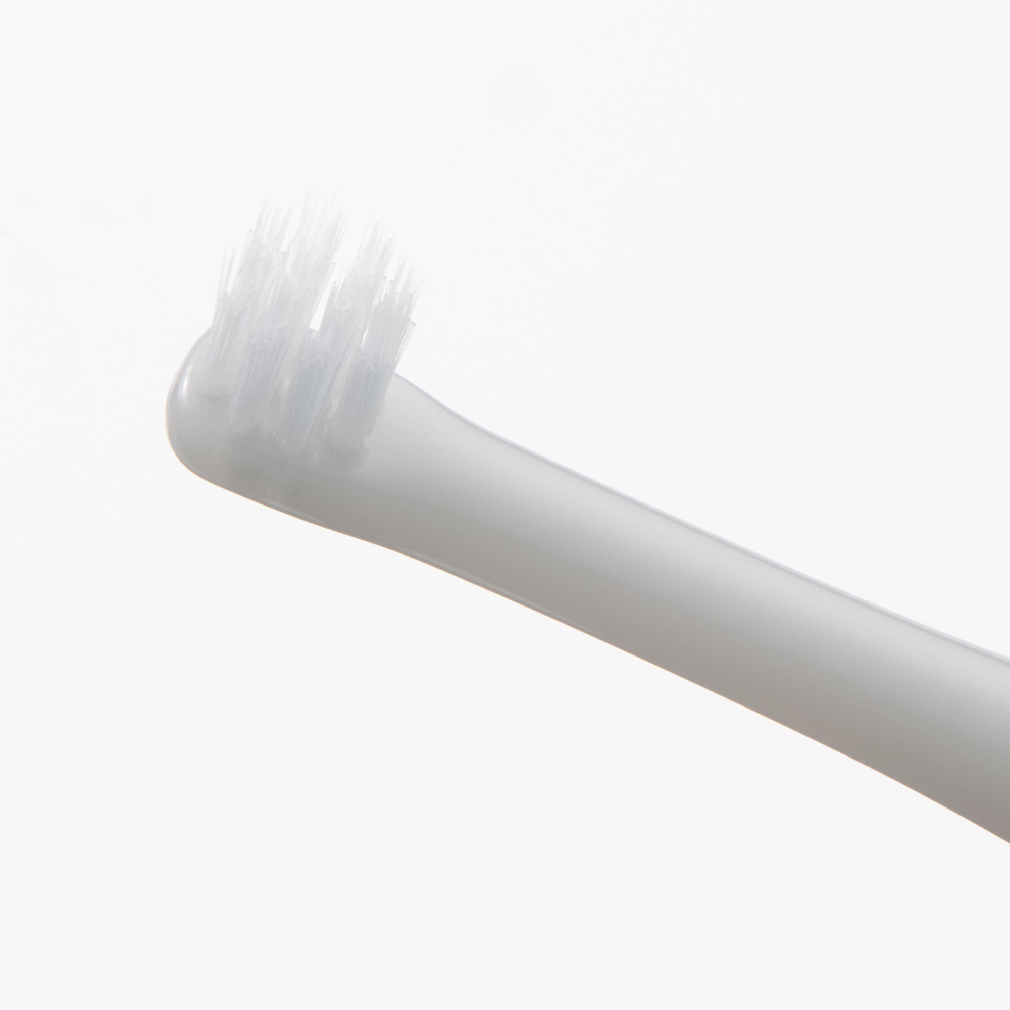 Polypropylene Compact Head Toothbrush
