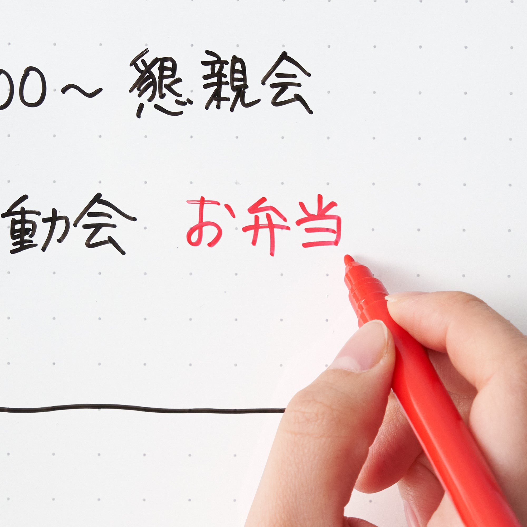 Whiteboard Pen