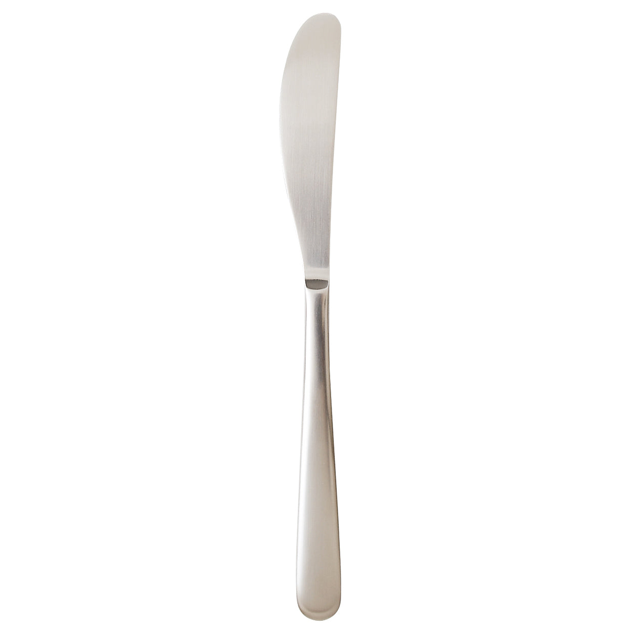 Stainless Steel Knife