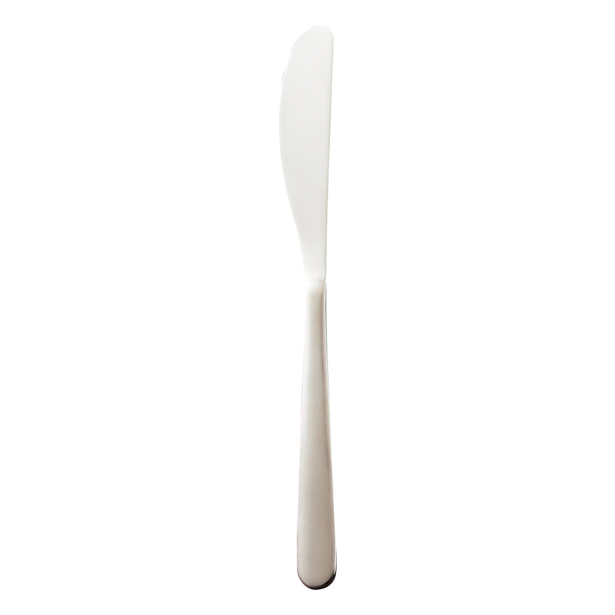 Stainless Steel Knife